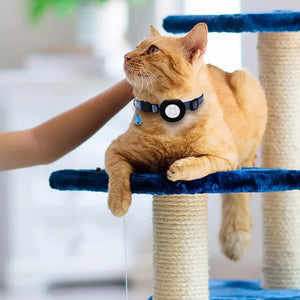 Reflective Cat and Dog Collars with Air Tag holder, Tracker